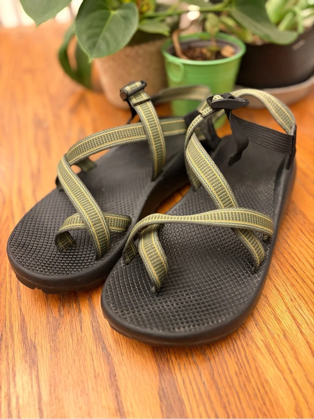 Chaco Classic Mens Sandals Size 12 Vibram Sole Toe Loop Green Straps M12 Hiking